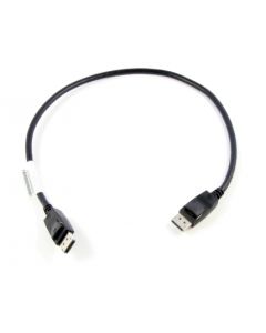 Lenovo 0.5m DisplayPort 0,5 m Zwart