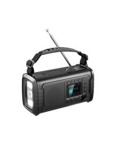 Sandberg 421-38 radio Draagbaar Analoog & digitaal Zwart