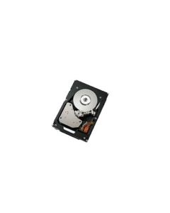 IBM 300GB SAS HDD