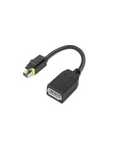 Lenovo 4X90Q93975 video kabel adapter Mini DisplayPort DisplayPort Zwart