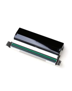 Zebra P1058930-009 printkop Thermo transfer
