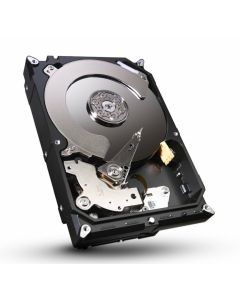 Seagate Desktop HDD ST250DM000 interne harde schijf 250 GB 7200 RPM 16 MB 3.5" SATA