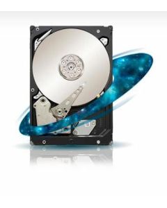 Seagate Constellation ST33000650SS interne harde schijf 3 TB 7200 RPM 64 MB 3.5" SAS