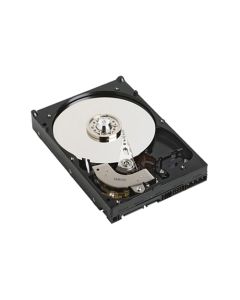 DELL 1TB SATA 7200rpm interne harde schijf 3.5" SATA II