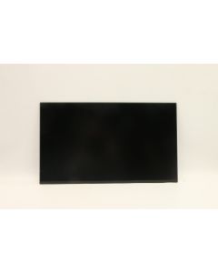 Lenovo 5D10Y75650 laptop reserve-onderdeel Beeldscherm