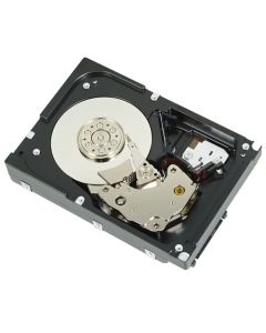 DELL 300GB SAS 2.5" interne harde schijf 10000 RPM 2.5"