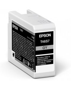 Epson UltraChrome Pro inktcartridge 1 stuk(s) Origineel Normaal rendement Grijs