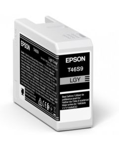 Epson UltraChrome Pro inktcartridge 1 stuk(s) Origineel Normaal rendement Grijs