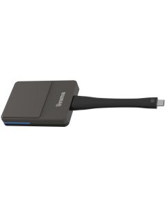 iiyama WP D002C Smart TV-dongle USB 4K Ultra HD Zwart, Zilver