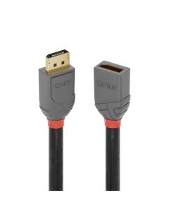 Lindy 36498 DisplayPort kabel 3 m Zwart