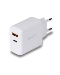 Lindy 73424 oplader voor mobiele apparatuur Universeel Wit AC Snel opladen Binnen