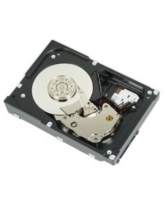 DELL 1TB NLSAS interne harde schijf 7200 RPM 3.5" NL-SAS