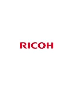 Ricoh Black Ink 600cc inktcartridge Origineel Zwart