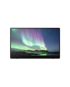 Ricoh Draagbare monitor 150BW