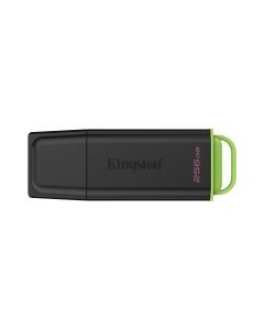 Kingston Technology DataTraveler 256GB Portable USB 3.2 Gen 1 Exodia Black/Green
